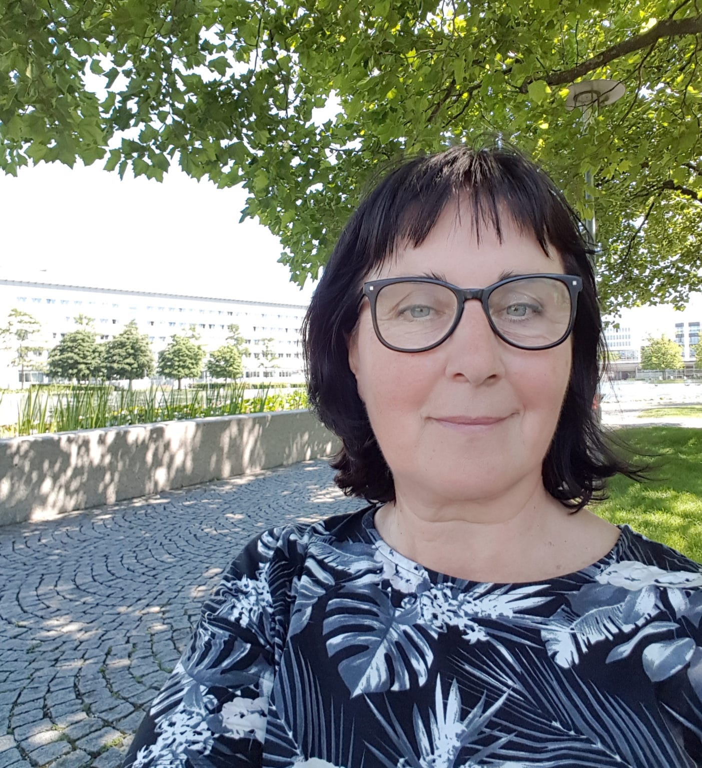 dagmar vinjett till nr 5